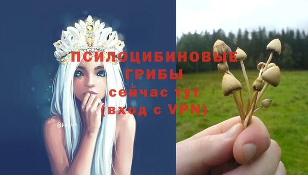 дурь Лабытнанги
