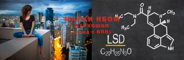дурь Лабытнанги
